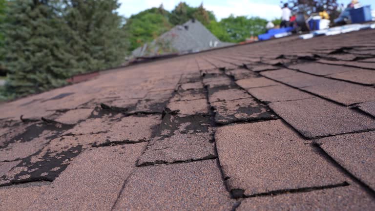 Professional Roofing in Bratenahl, OH